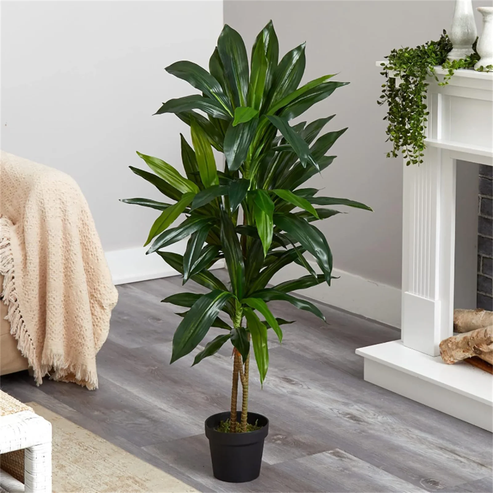 نبات Dracaena الاصطناعي في الأماكن المغلقة، شجرة وهمية مزخرفة بطول 120 سم/150 سم في وعاء مع فروع وأوراق قابلة للتعديل