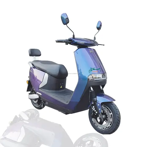 장거리 스쿠터 전기 모페드 2000/3000W Ckd 디스크 브레이크 200kg 부하 듀얼 모터 성인 전기 자전거 오토바이, 도매 저렴한