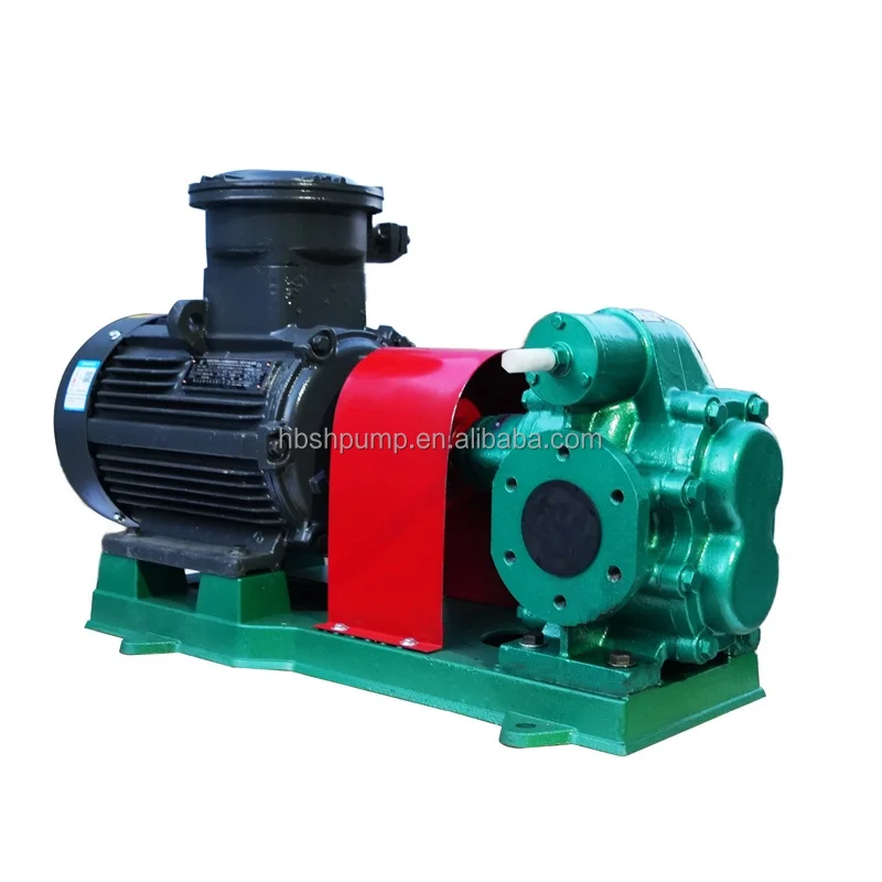 Personalizzazione della pompa di trasferimento del carburante benzina dell'olio delle pompe autoadescanti elettriche dirette in fabbrica 220 V CA supportata