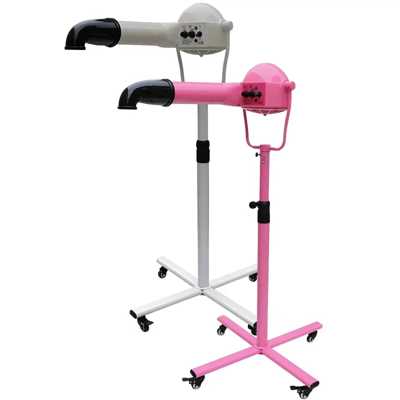 

Beauty teddy bear dog special silent large hair dryer negative ion vertical hair pulling machine