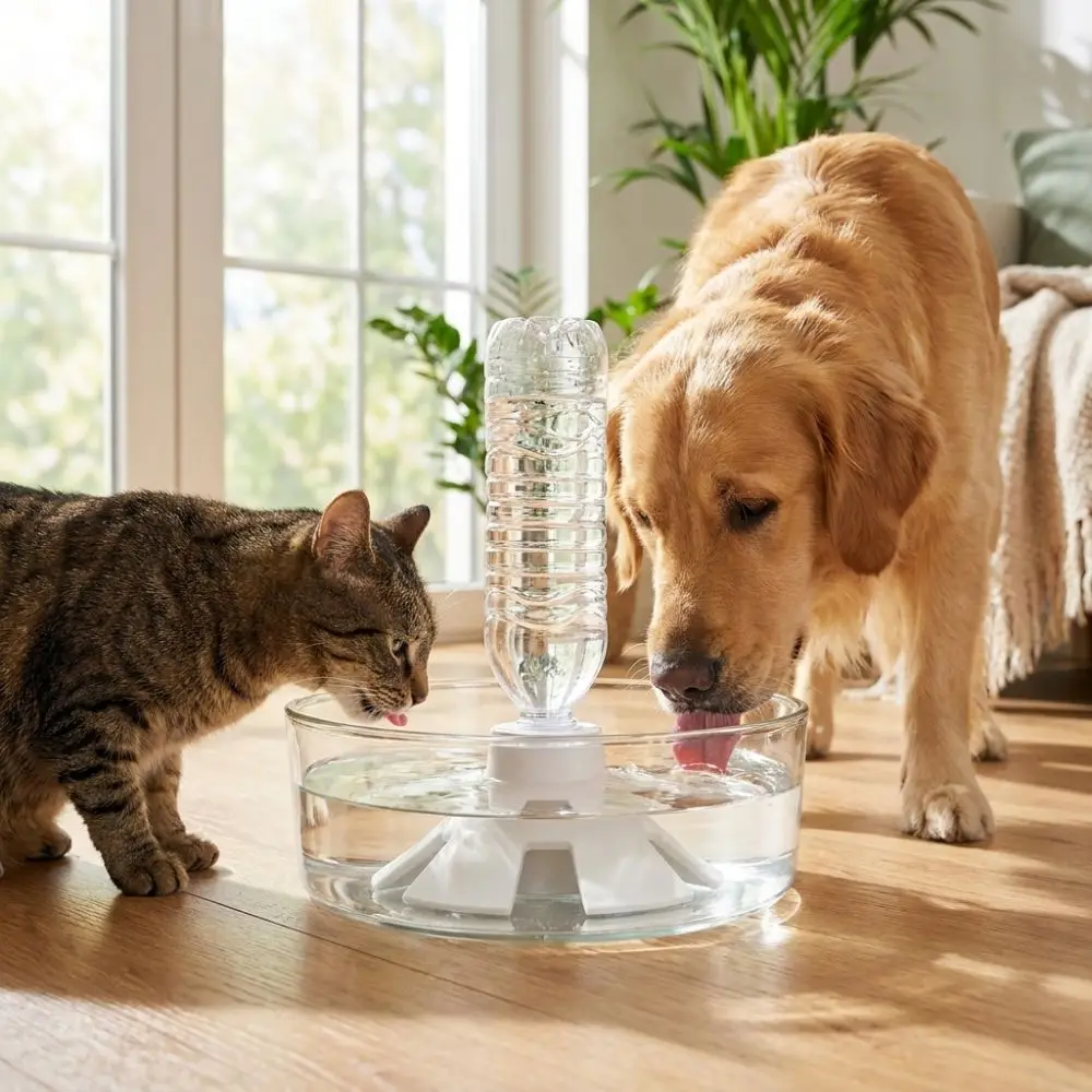 Anti-Slip Automatic Pet Water Dispenser 3D Printed Plastic Automatic Pet Feeder Constant Water Level Anti Overturning