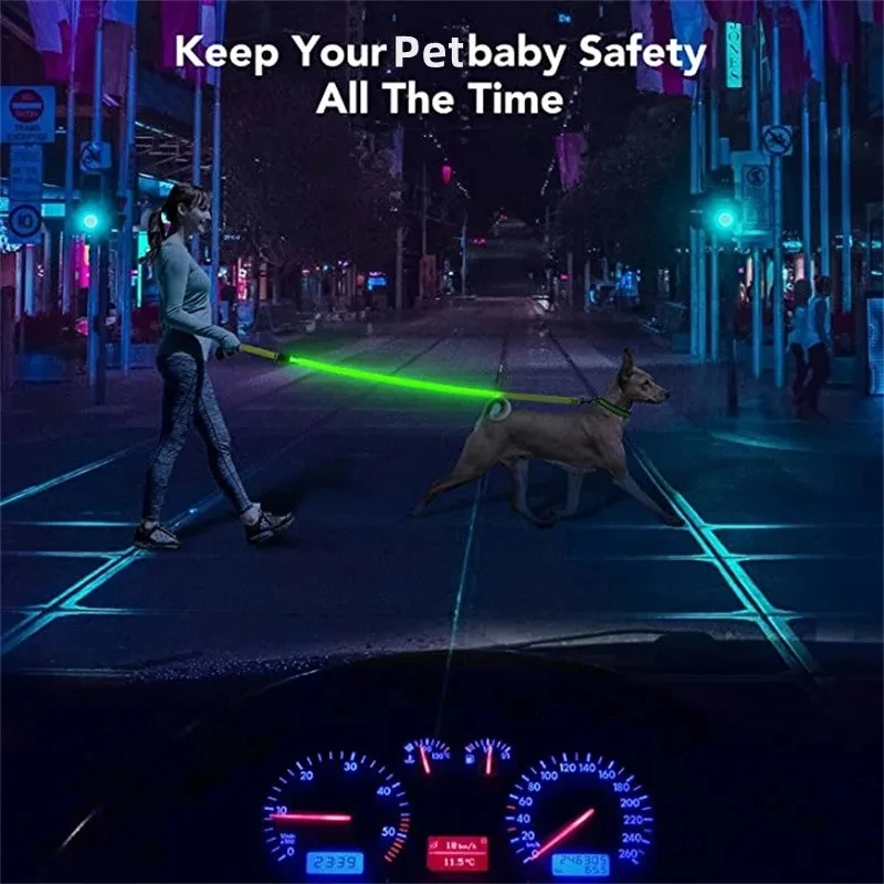 Led Haustier Hund Leine Seil Mit Licht Leuchtende Leine USB Lade für Hund Sicherheit Blinkende Leuchtende Kragen Harness Zubehör – Detail 7