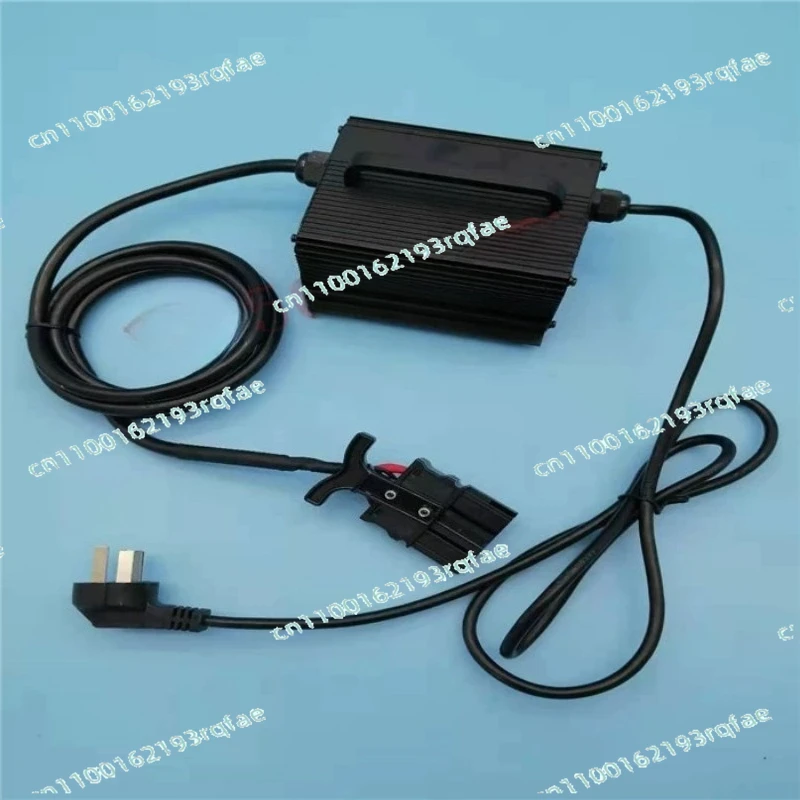 24V 10A Lithium Battery Charger for RC Helicopters, Electric Afterburner, Cattle Cart, Electric Tray, Charging Accessories