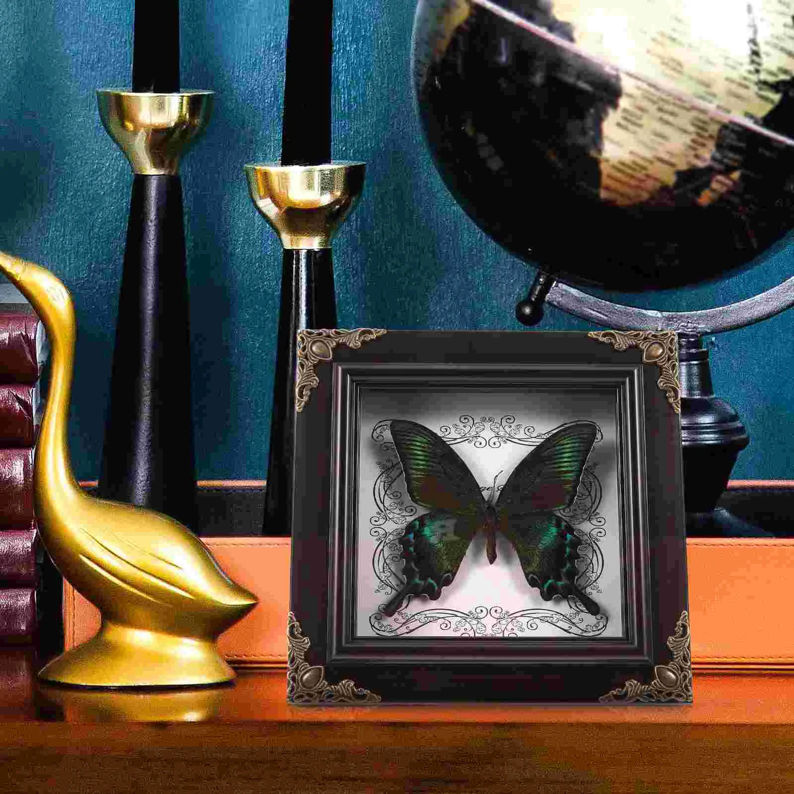 

Butterfly Specimen Photo Frame Household Desktop Decoration Picture Set up Insect Acrylic DIY Display Frames