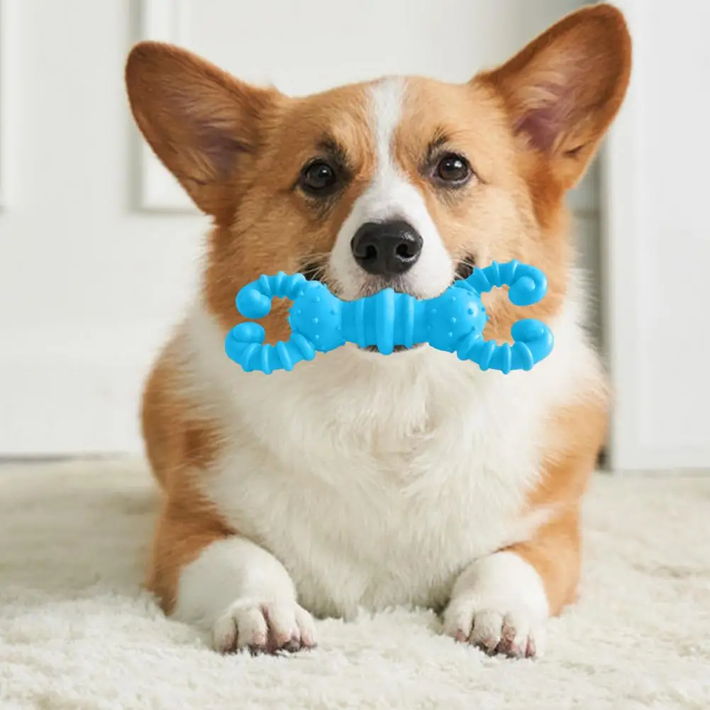 Dog Tooth Toy Lobster Shape Dog Chew Toy for Teeth Molar Health Bite-resistant Pet Toy for Funny Games Clean Teeth for Healthy