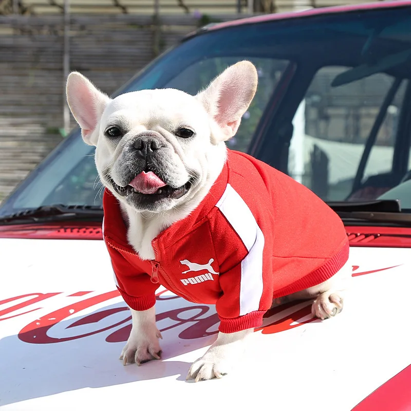 Chaqueta de béisbol para perros, ropa de invierno para perros pequeños y medianos, chaleco para cachorros, sudadera de Bulldog Francés, disfraz de