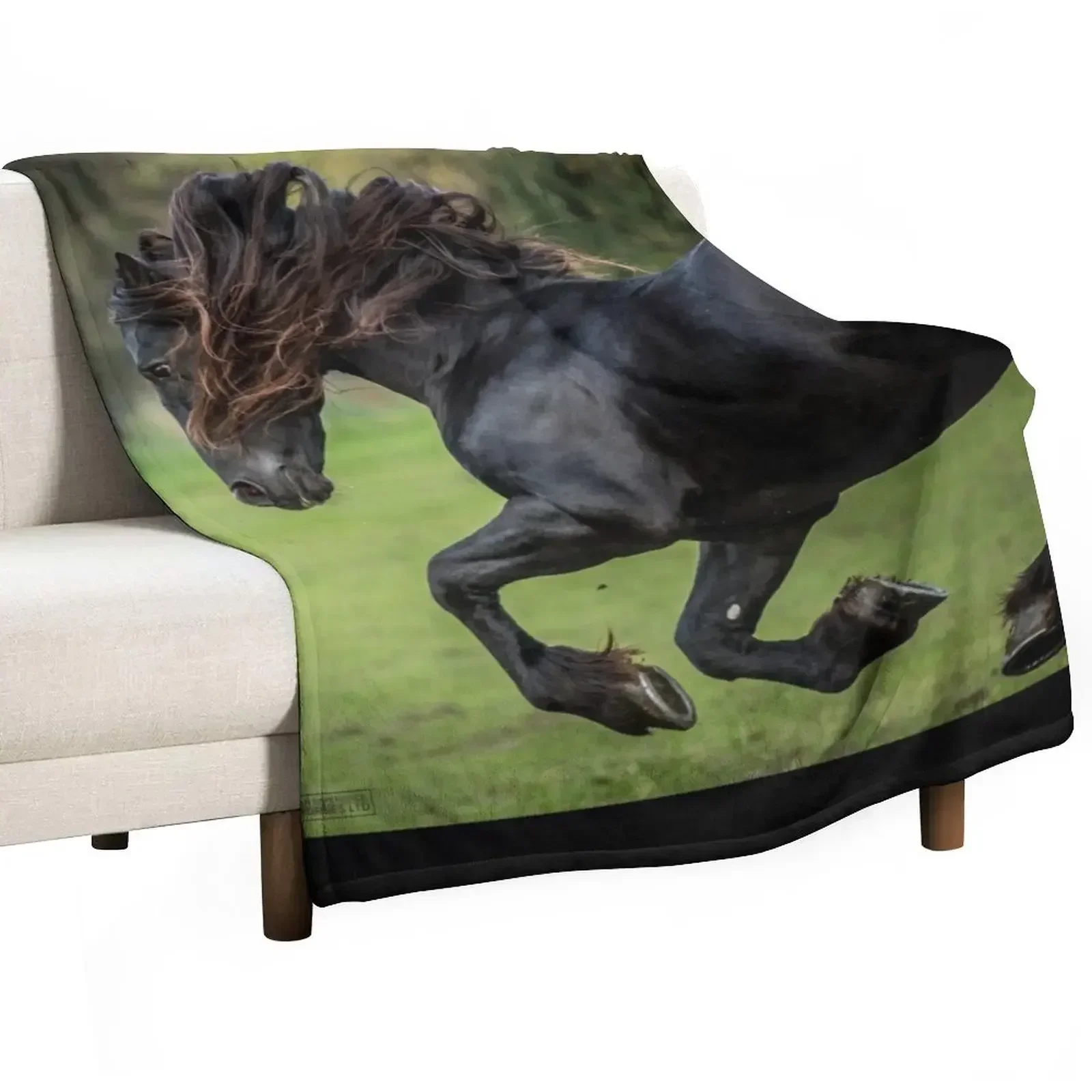 

The Friesian Experience - Beautiful Black Beauty Friesian Horses Throw Blanket Fluffy Cozy Throw Blanket for Home Decor