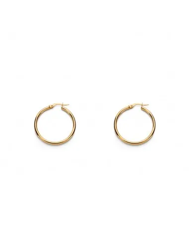 Earrings women Gold Smooth Hoops 24x2mm