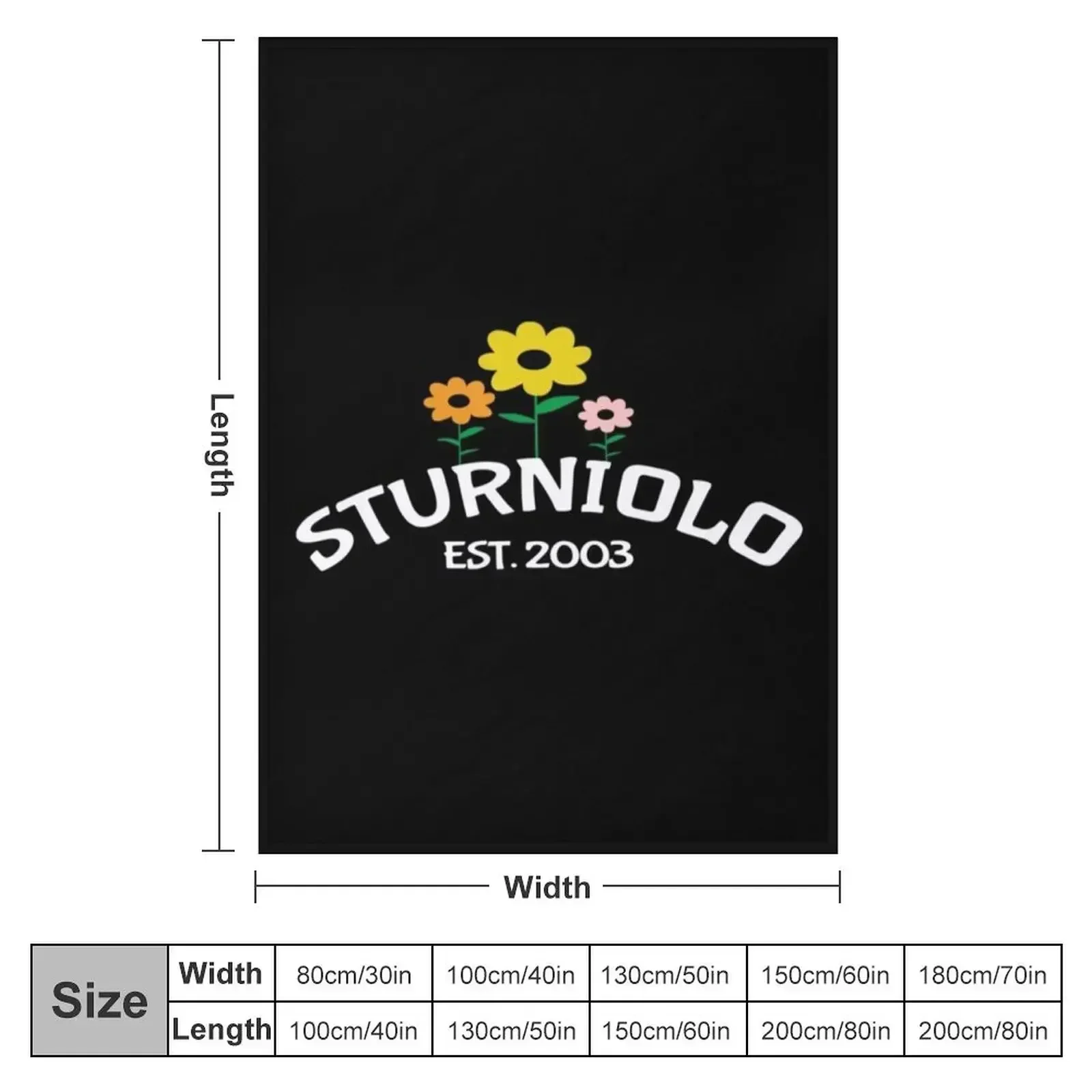 Sturniolo Triplets Merch Sturniolo Triplets Pullover Hoodie Throw Blanket Designers Luxury halloween Softest Blankets