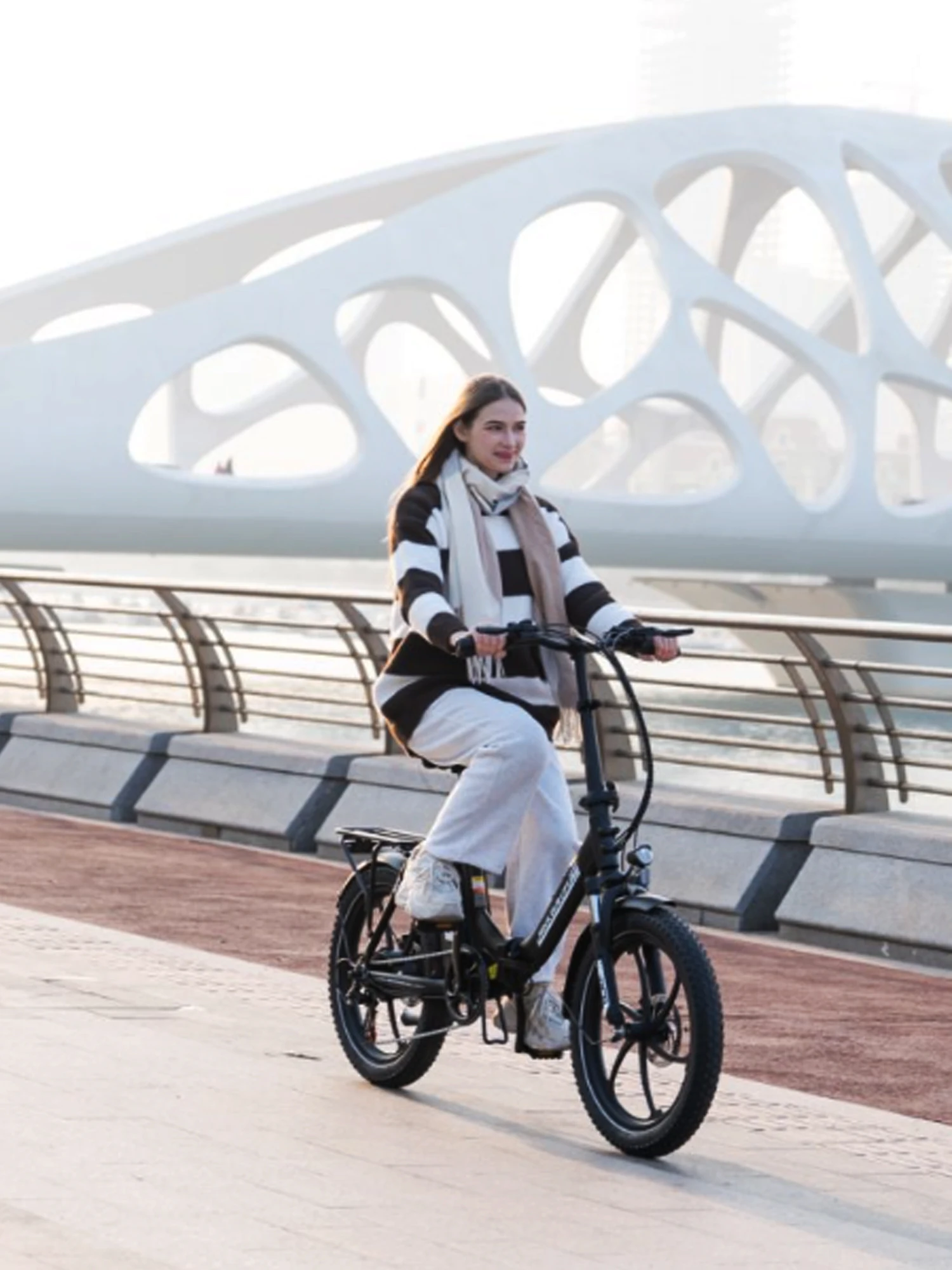 AliExpress RCB 20"x3 Foldable Electric Bike for Adults, 36V 15.6Ah, 52-80KM Long Range, Front Shock Absorber, Portable Ebicycle Commuting