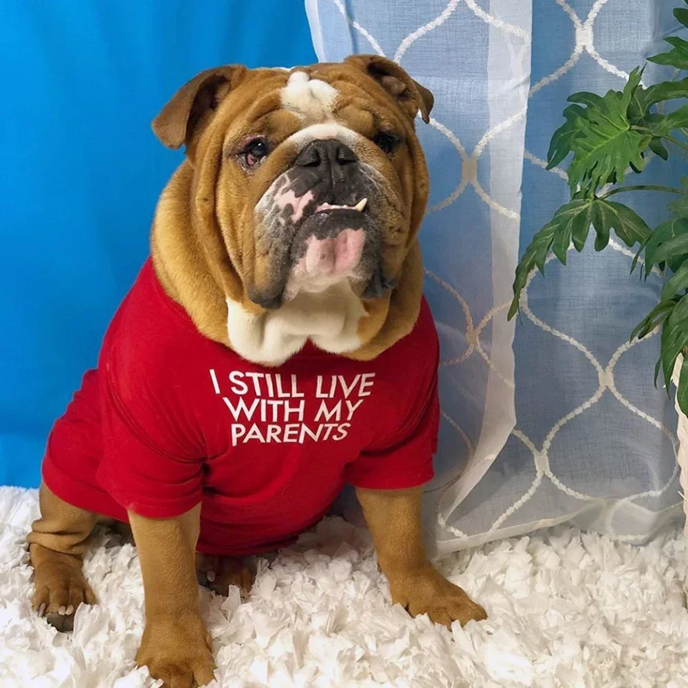 ملابس الصيف والربيع للكلاب جودة ملابس الحيوانات الأليفة قابلة للتنفس بأحرف ناعمة مطبوعة ملابس البلدغ الفرنسية للكلاب الصغيرة تي شيرت