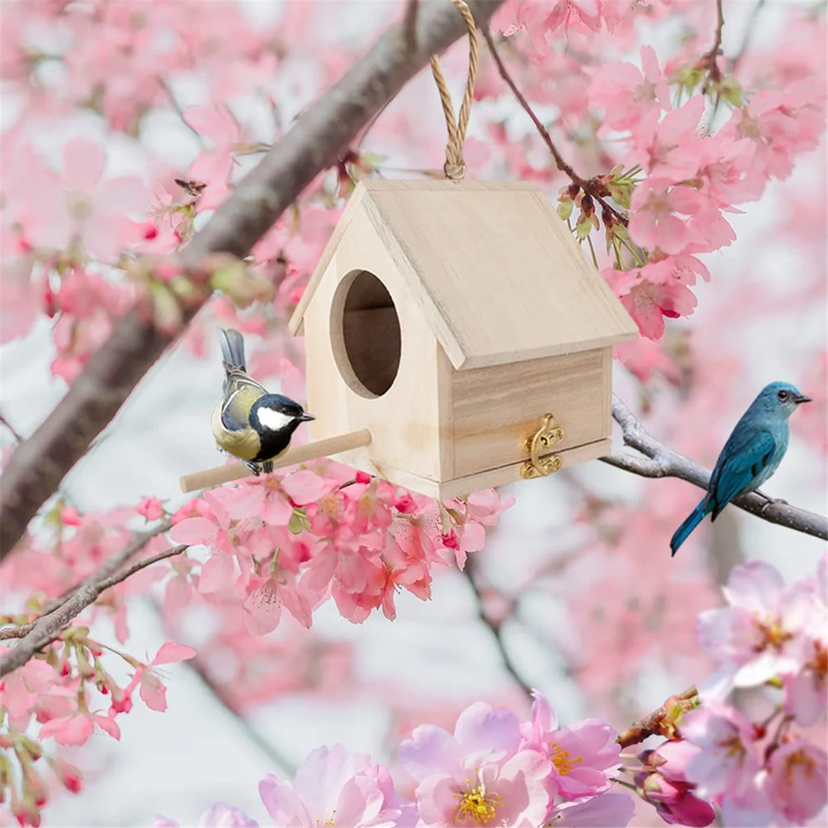 Nesting Box for Tits, Nesting Box Kit Robin, Bird House, Weatherproof for Hanging, Nesting Boxes for Birds Bird House