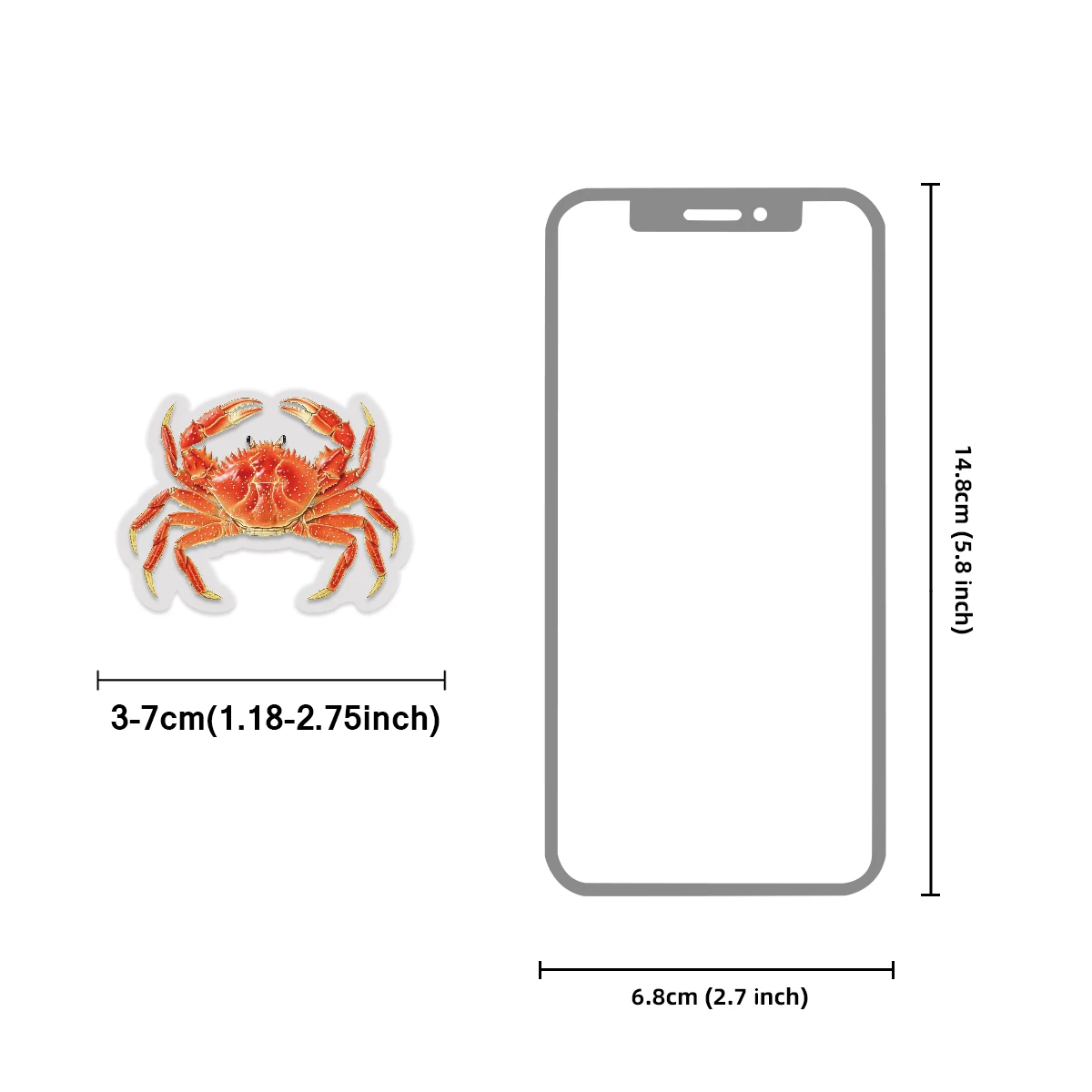 50 (25x2) Pcs Underwater Creature Pattern PET Stickers for Laptop Luggage Phone Cases Album Crafts Stationery  Stickers Graffiti