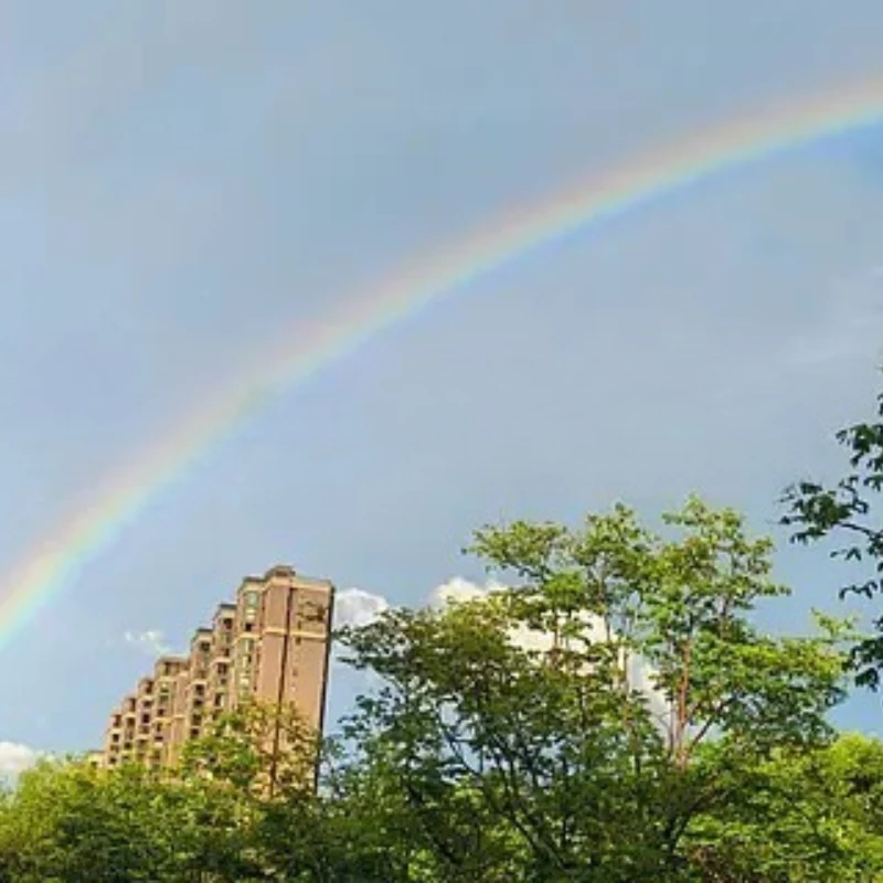 

GEPRC SPEEDX2 2207 1960KV Двигатель 4-5 дюймов FPV Дрон 6S Бесщеточный двигатель FPV RC Мультикоптер Гоночный дрон Запчасти DIY ЧАСТЬ