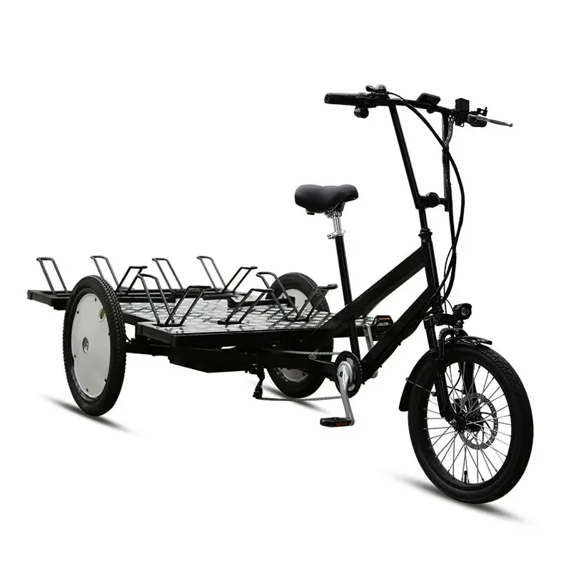 LWJTXED new design 48V lithium battery electric cargo bicycle hydraulic disc brake Electric Three Wheel Flatbed Trike