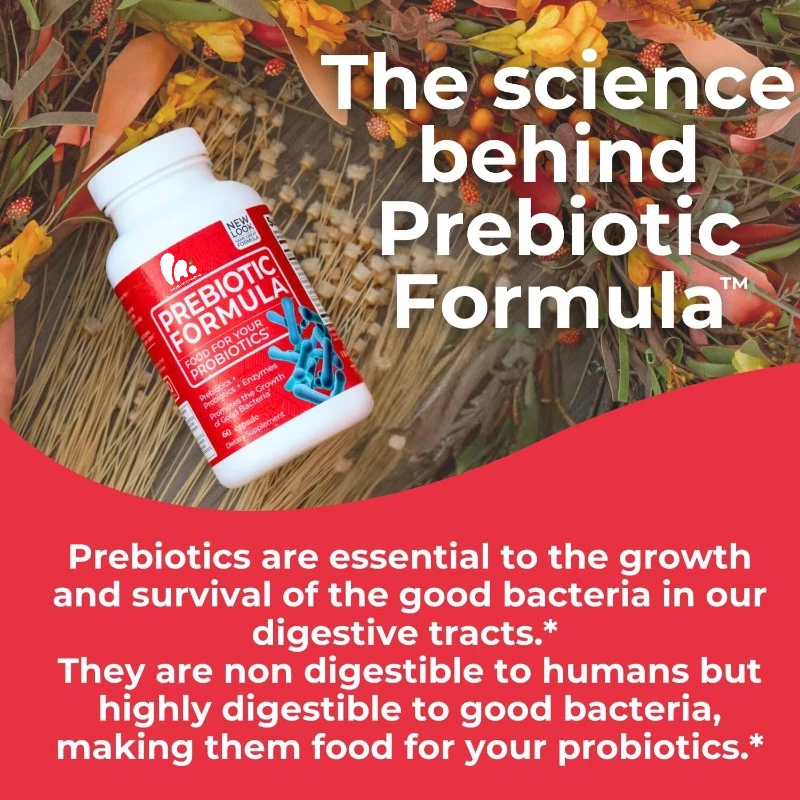 Probiotic formula - probiotics+prebiotics+digestive enzymes - gluten free, dairy free, natural herbal ingredients (60 pills)