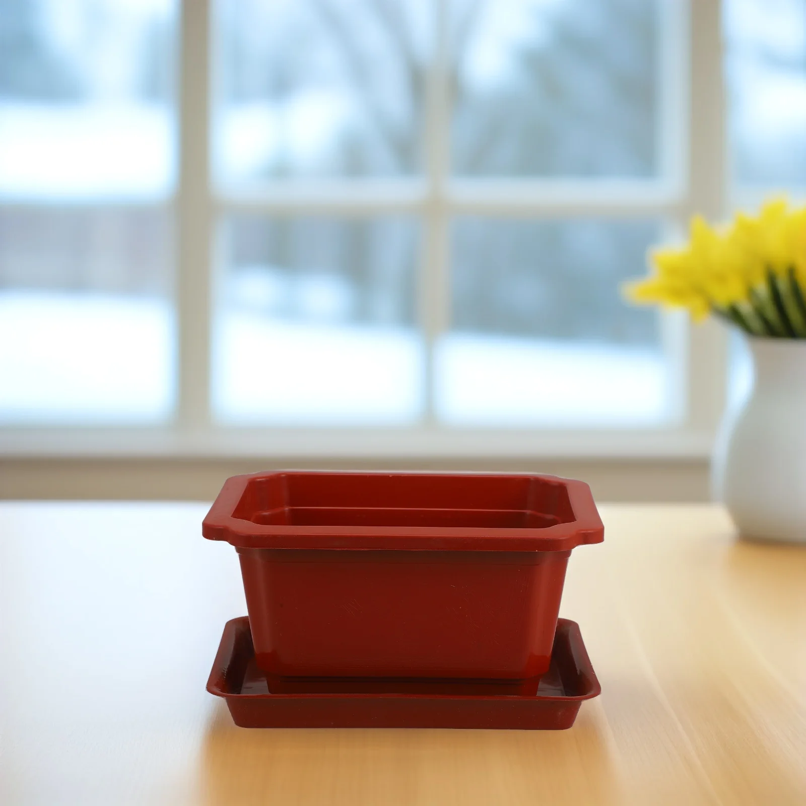

200 Pcs Flowerpot Planter Saucers for Bonsai Succulents Ferns Lightweight Plastic Garden Container Home Decor