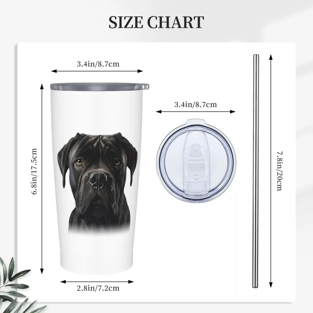 Black Cane Corso Italian Mastiff Stainless Steel Tumbler Vacuum Insulated Mugs Thermal Cold Cups Straws With Lid 20oz