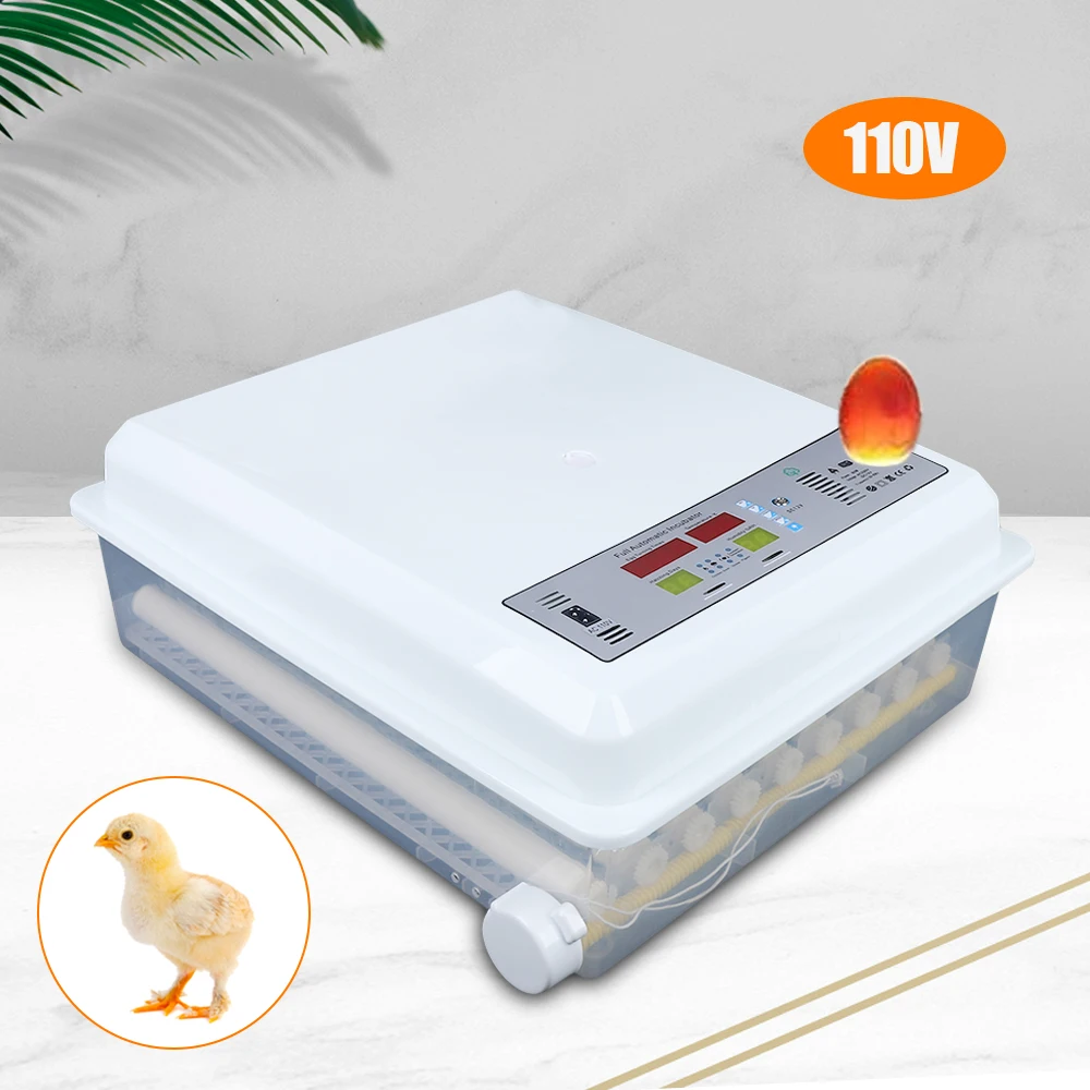 Large Capacity Automatic 64 Digital Egg Incubator Hatcher 110V & 12V Temperature Control