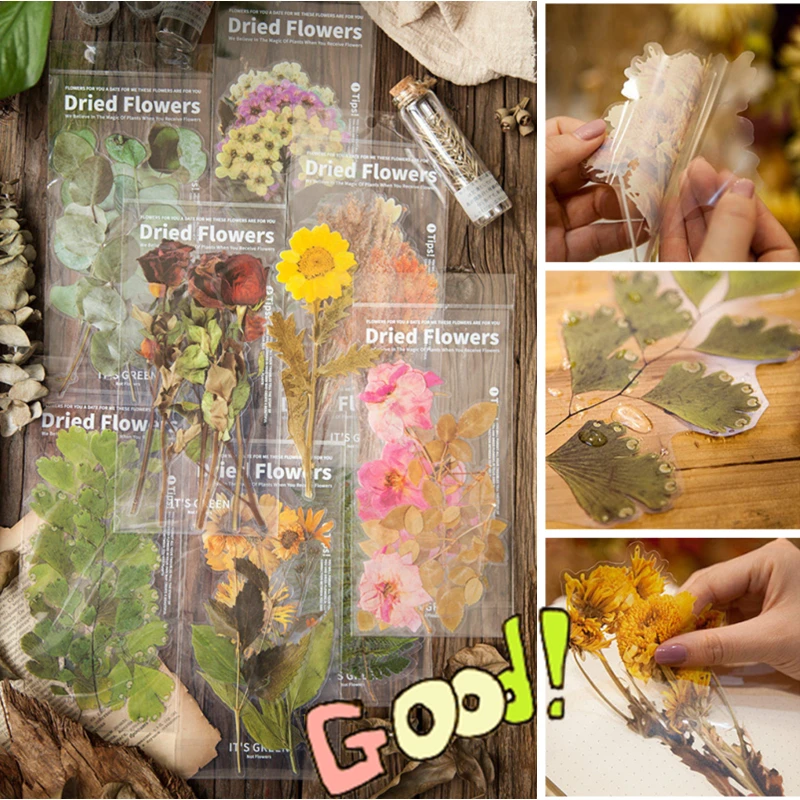 8-disenos-6-piezas-pegatinas-decorativas-de-flores-para-fin-de-semana-decoracion-para-Albumes-de-recortes-juguetes-manualidades-suministros-para-scrapbooking