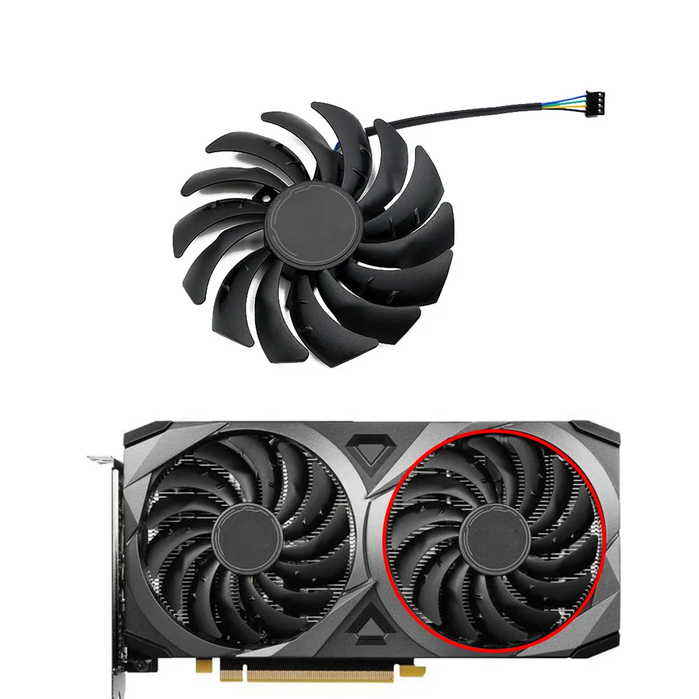 B Fan