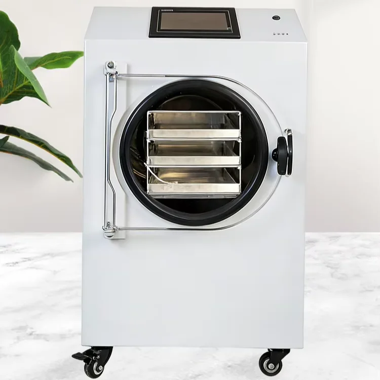 Cheap Small Automatic Freeze Dryer WithControl For Home Use 304 Stainless Steel Food Grade Filling & Sealing Equipment