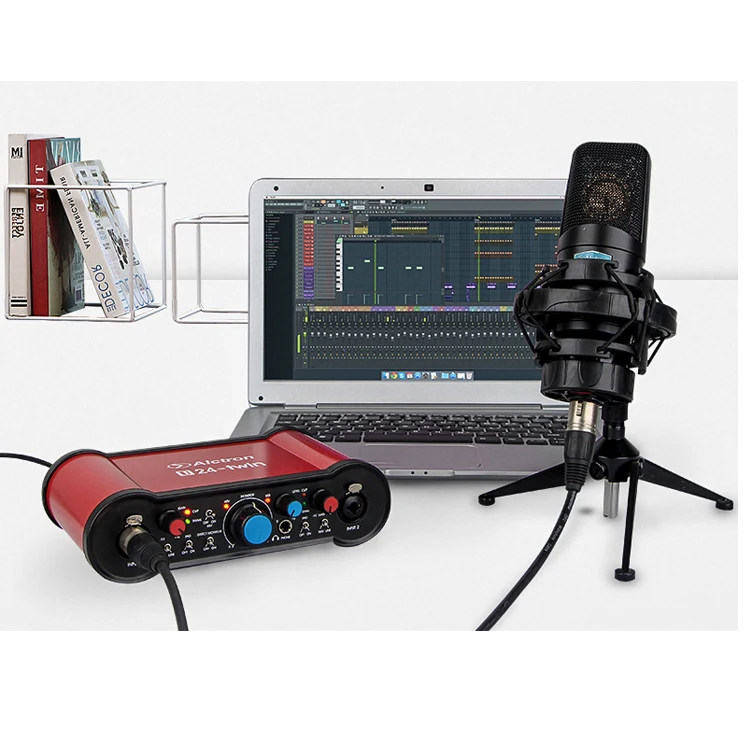 Alctron U24-TWIN Official Original 24bit Dual Channel USB Audio Interface Sound Card Helps signal From a to D Microphone