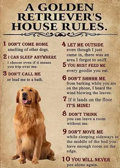 Golden Retriever House Rules Poster, Funny Retriever Poster, Funny Dog Poster, Vintage Golden Retriever Valentine Gift, Ret sign