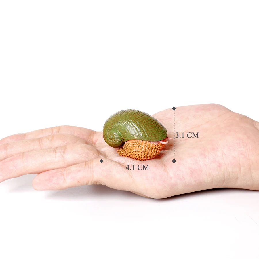 Realistischer Lebenszyklus einer Schnecke, Modellfigur, Schneckenfigur, Partyzubehör, Kuchendeckel, Tischdekoration, Sammlungsspielzeug