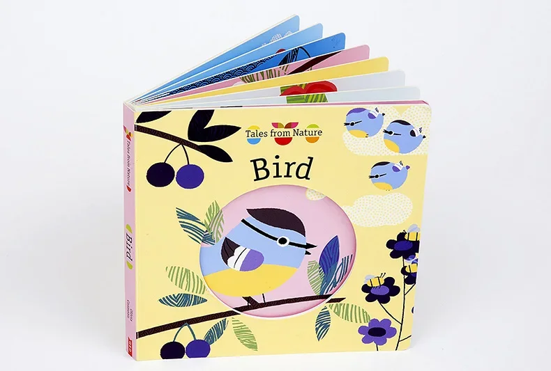 Bird Tales from Nature, Baby Children's books aged 1 2 3, English picture book, 9781784932572