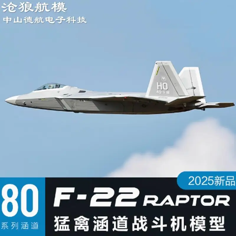 Freewing RC 80mm EDF F-22 Raptor avion à réaction électrique RC 6S PNP Kit + train d'atterrissage servo rétractable F22 EPO modèles d'avion