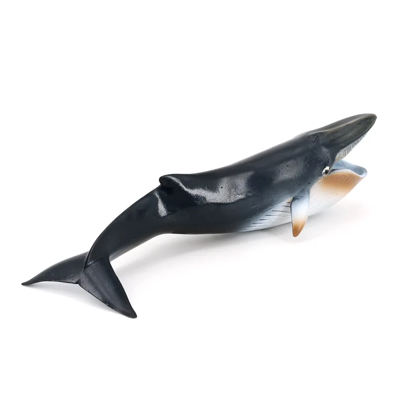 Simulated marine animal model Solid plastic animal toy Open mouth blue whale submarine creature Children's cognitive toy