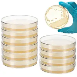 10pcs Agar Plates 7cm Prepoured Agar Petri Dishes Tissue Culture Plate Science Projects Supplies Laboratory Experiment Plates