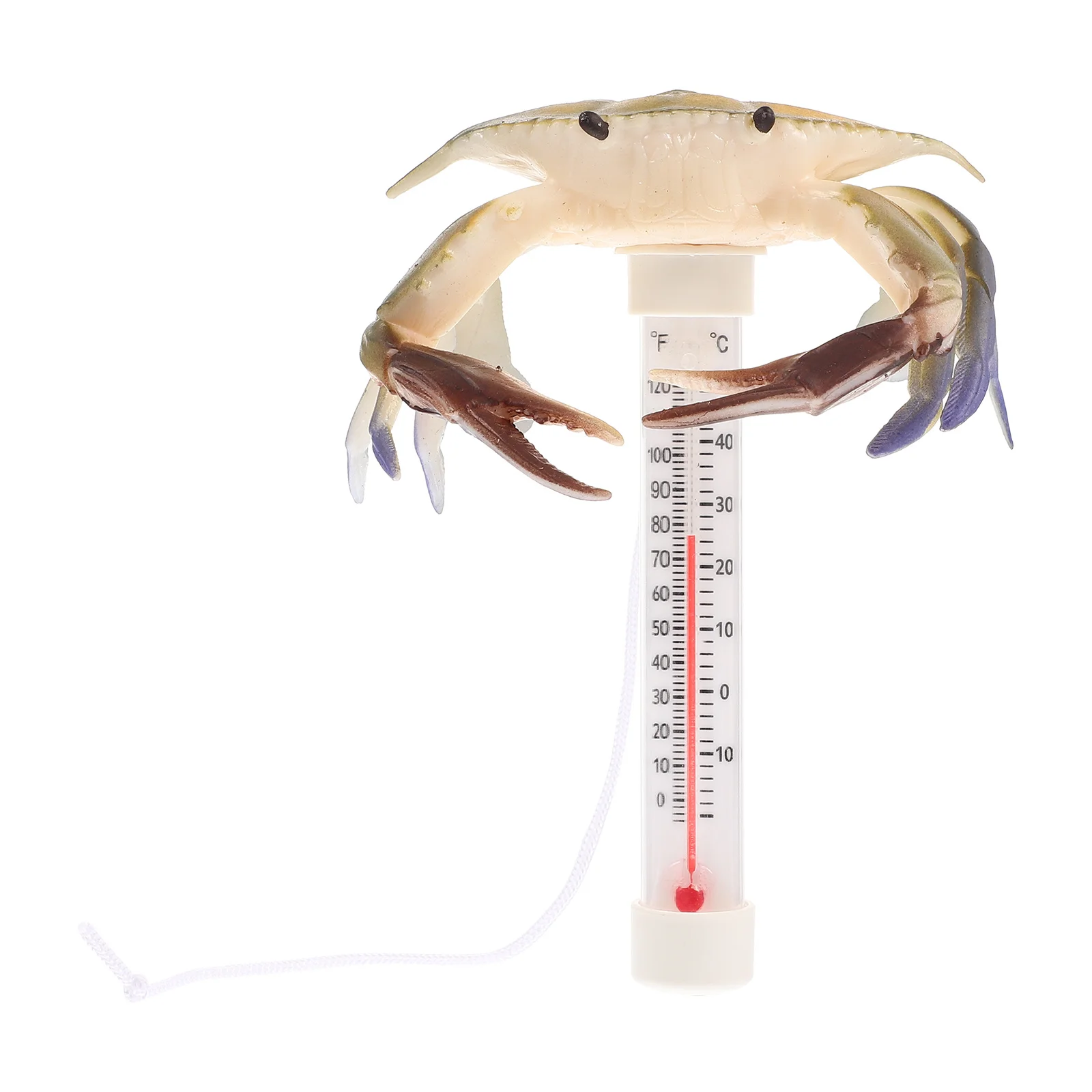 

Floating Water Thermometer For Pool Fishpond Summer Tub Temperature Gauge Spa Bathing Practical Measuring Tool