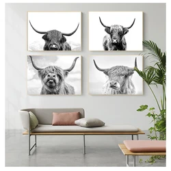 Wild Animals Canvas Painting Posters and Prints Cuadros Wall Art Picture for Living Room Decor Black and White Yak Highland Cow
