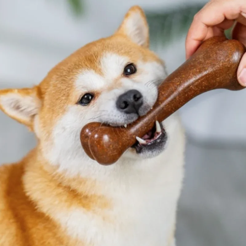 Natürliches, ungiftiges, unzerstörbares Hundekauknochen-Spielzeug, bissfestes Welpen-Zahnpflege-Kauspielzeug für kleine, mittelgroße und große Hunde, Haustier-Kauknochen – Detail 3