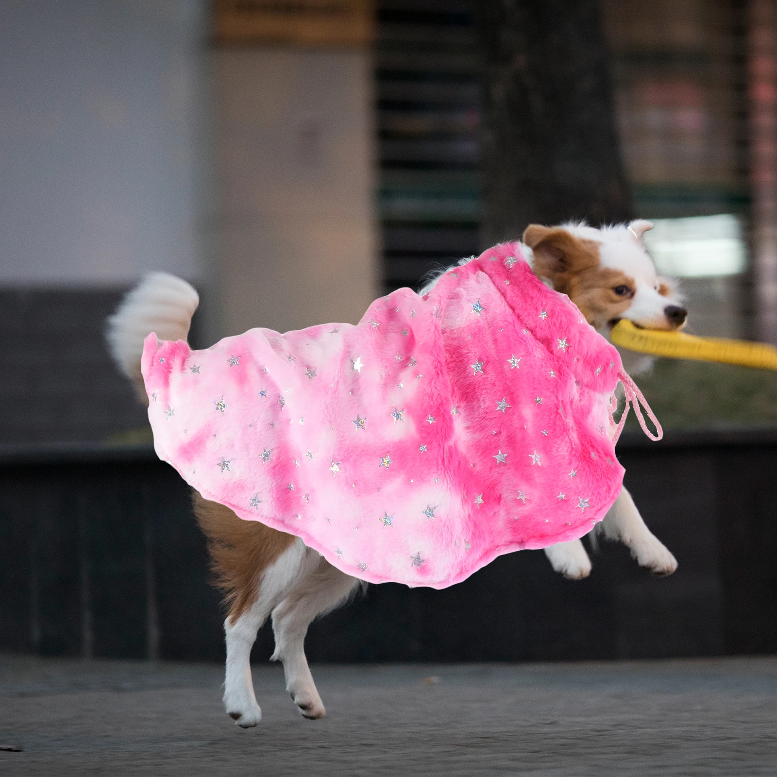 

Christmas Pet Cape Polyester Coat Winter Dress Reusable Durable Festival Dogs Cats Suit Costumes Holiday Decorative Pet Supplies