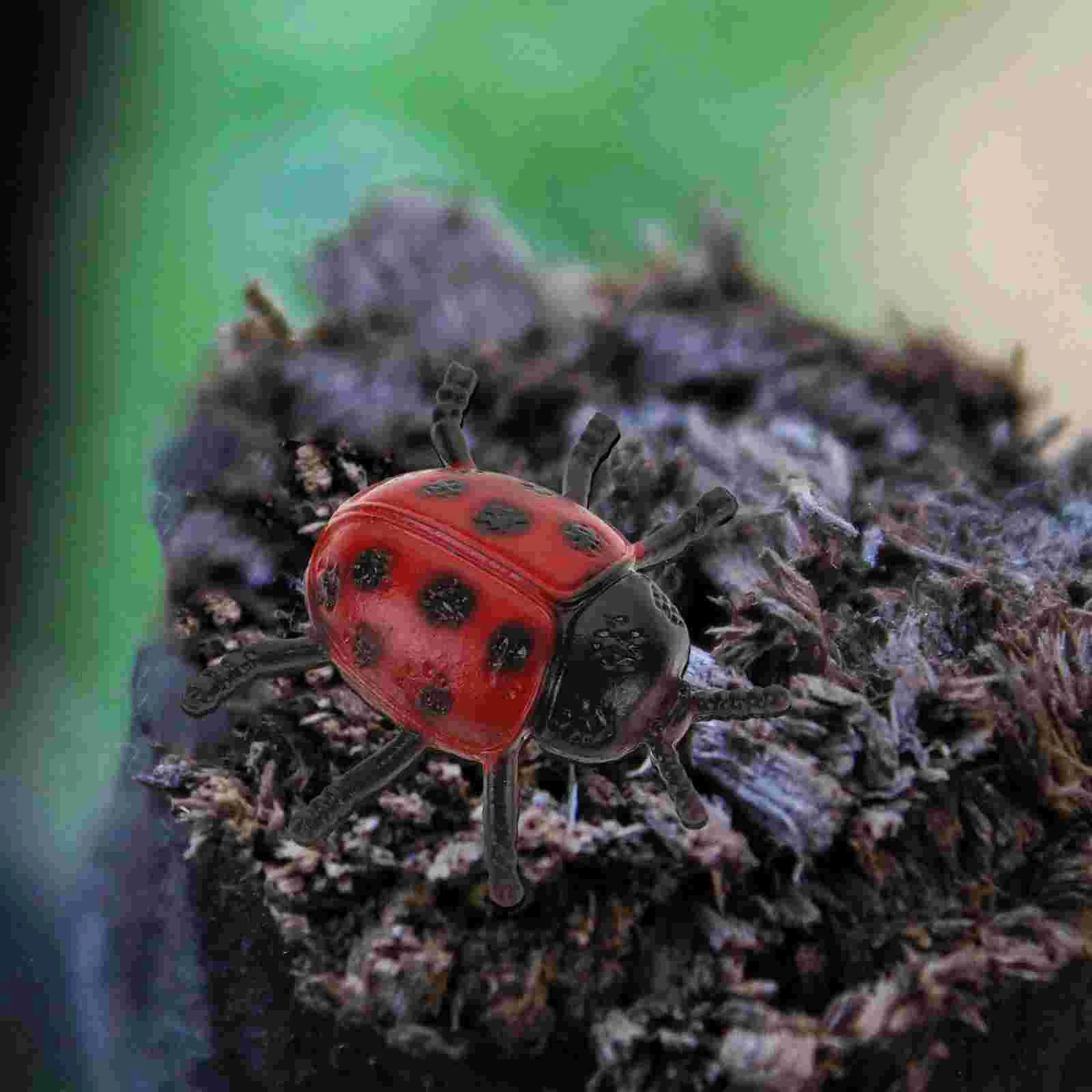 30 Pcs Halloween Pvc Simulation Ladybug Toddler Figurine Plastic Artificial Models Ladybugs