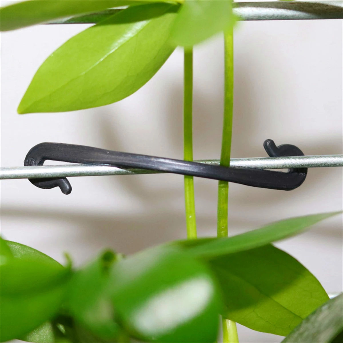 Garden Plant Vine Fixing Clip Kiwi Grape Cucumber Tomato Stem Binding Clamp Tied Buckle Lashing Hook Climbing Gadget 100/1000Pcs