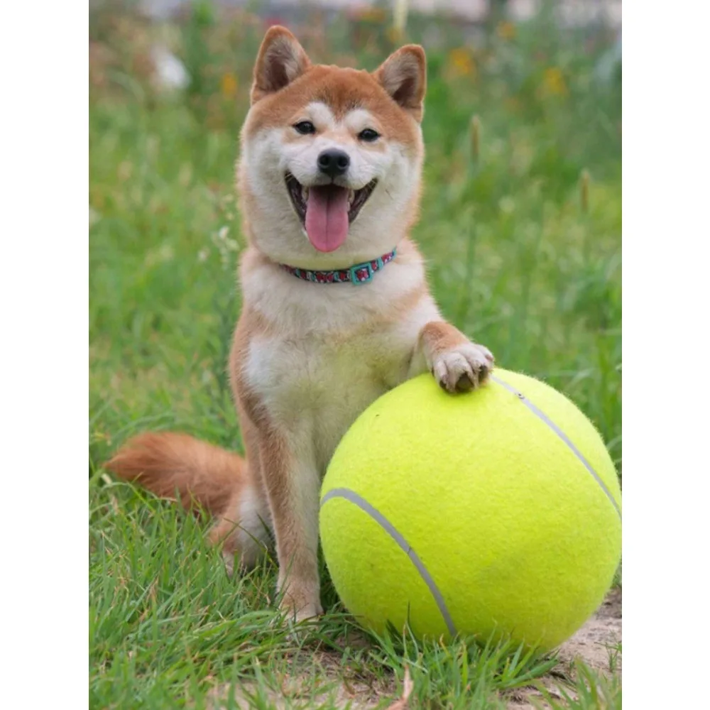 Giant Tennis Ball For Dog Chew Toy Pet Dog Interactive Toys Big Inflatable Tennis Ball Pet Supplies Outdoor Cricket Dog Toy