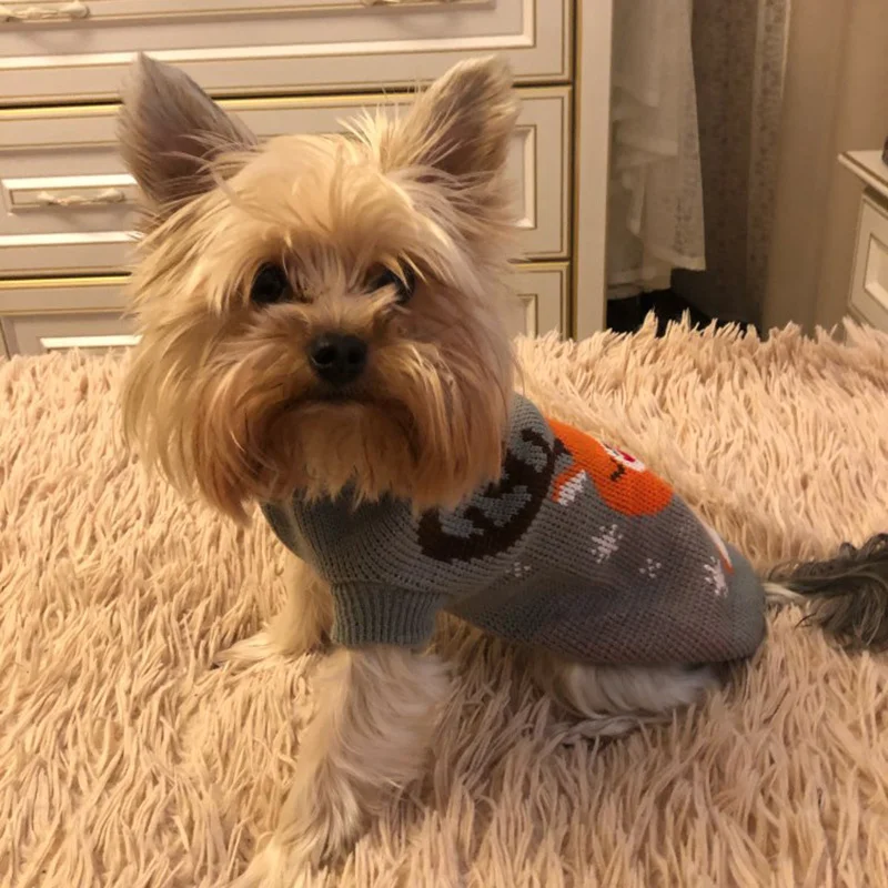 Warm Chihuahua Puppuy Dog Sweater Winter Pet Clothes For Small Dogs Yorkshire Dachshund Cat Pullover Mascotas Clothing Costume_voghion.com
