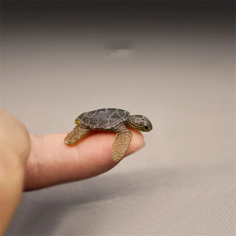 Tortoise Model Figurine Mini Small DIY Model Action Figures Toys Home Decoration animal sea turtle miniatures accessoires