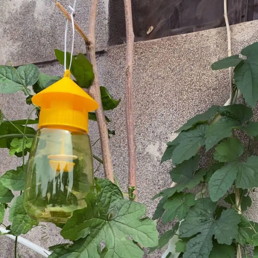 Fruit Fly Trap Reusable Plastic Insect Catcher Trap Transparent Environmentally Anti Flies Home Garden Orchard Pest Control Tool