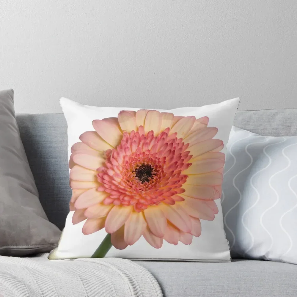 

Pink Gerbera Daisy Throw Pillow Rectangular Cushion Cover Cushions For Decorative Sofa Decorative pillow case pillow