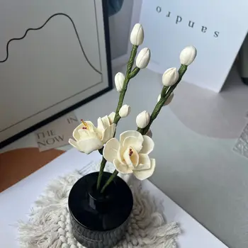 홈 향수 디퓨저용 솔라 플라워, 장식 액세서리, 갈대 스틱 Best5 홈 향수 디퓨저용 솔라 플라워, 장식 액세서리, 갈대 스틱 Best5