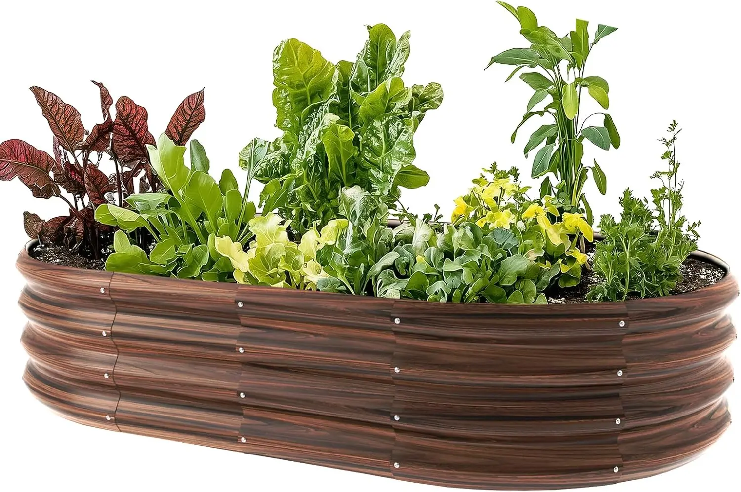 

5x3x1ft овальная оцинкованная садовая кровать для улицы, большая металлическая модульная коробка для цветов 9 в 1, приподнятые кровати для садоводства, овощей, Fr