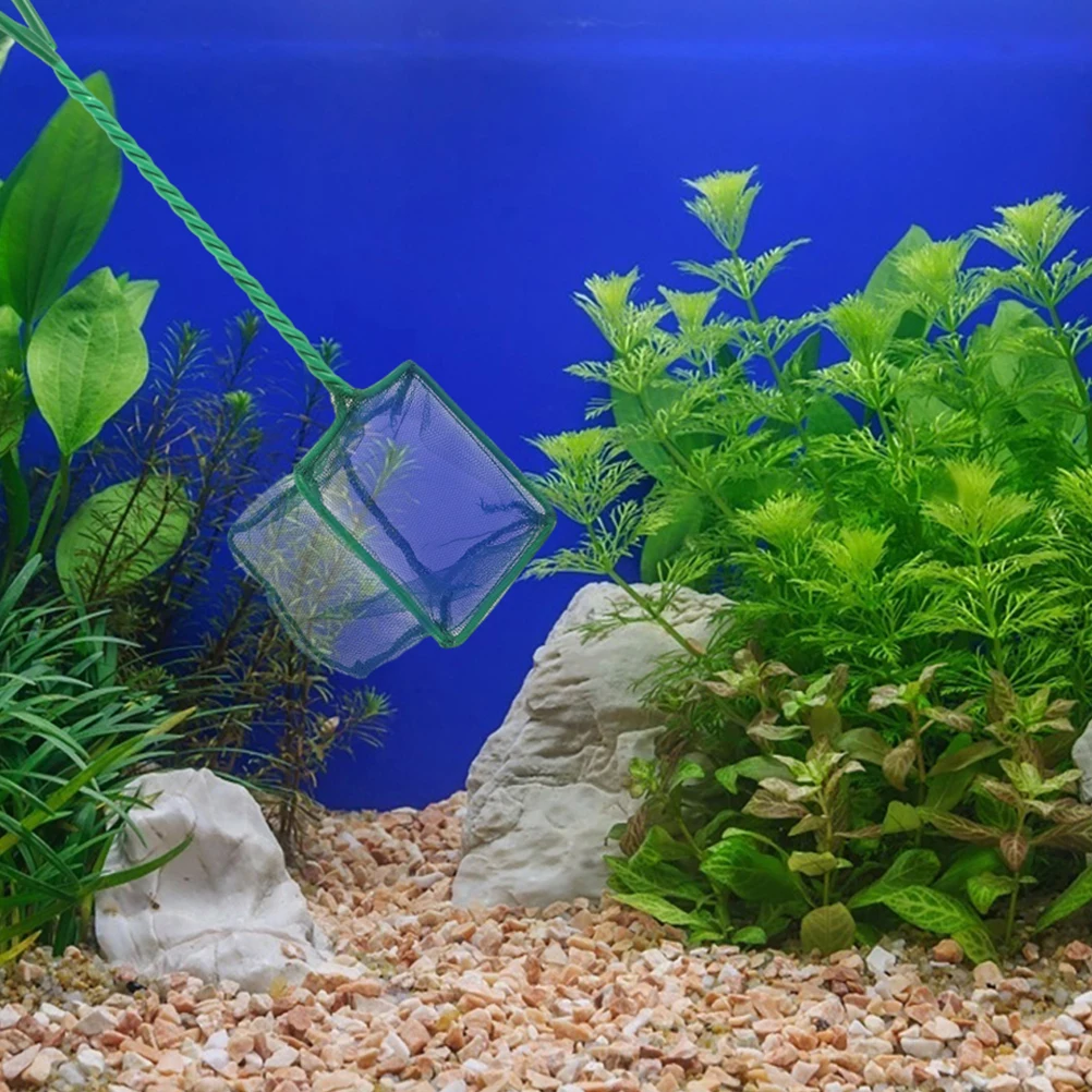 

2pcs Fine Mesh Aquarium Net Fish Tank Pond Plastic Handle Durable Lightweight Square Design Effortless Catch Without Hurting