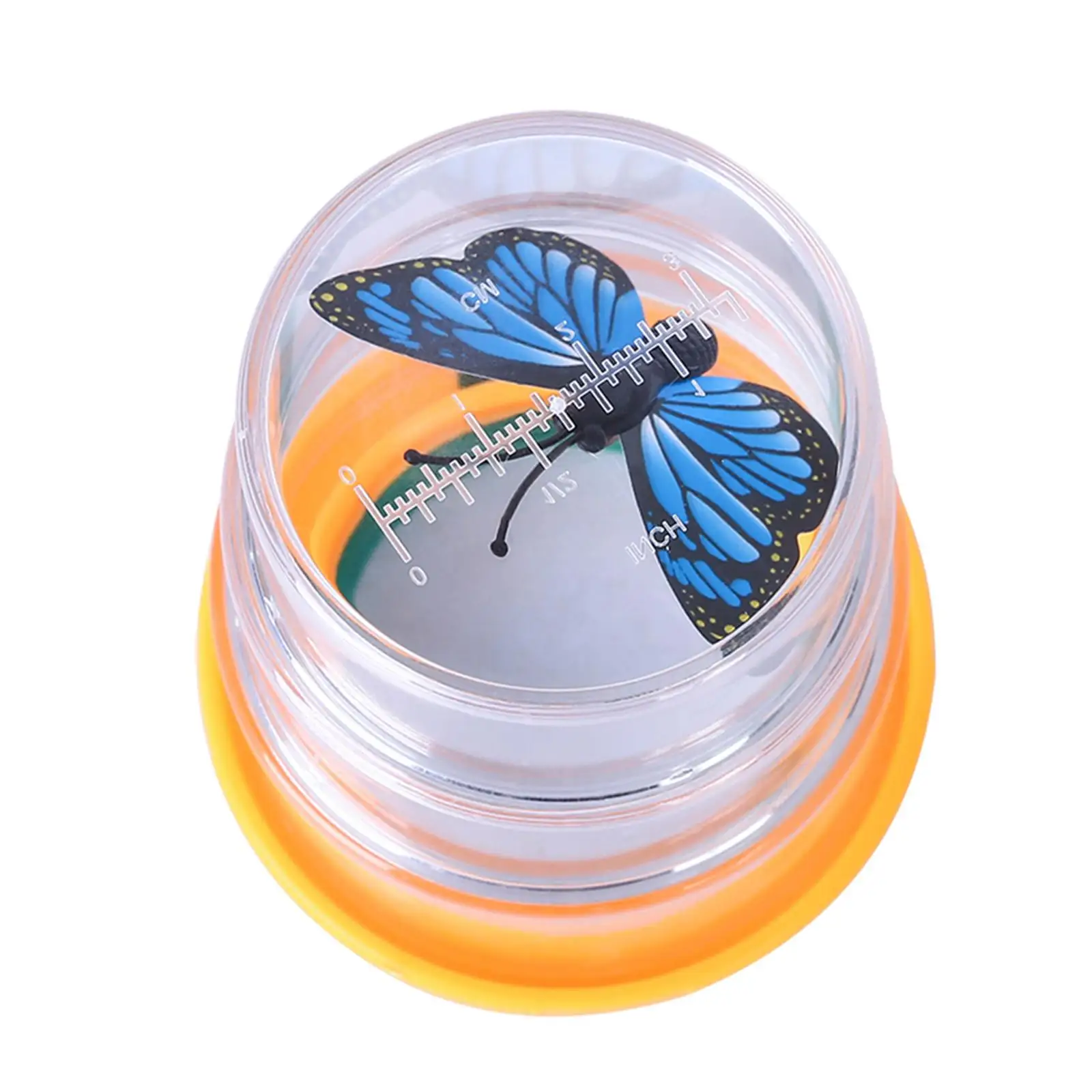 Insect Viewing Observation Toy Development Toy for Holiday Gifts