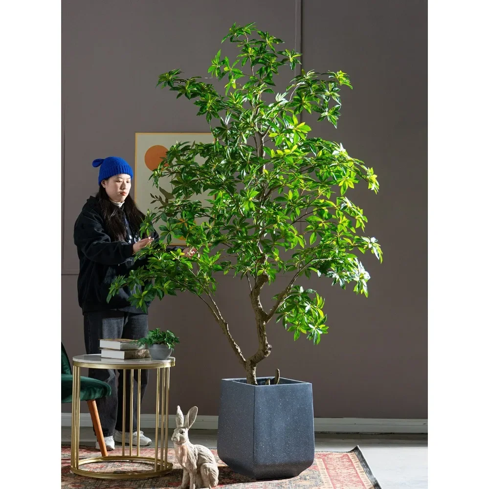 

Huge simulation tree of Daphne giraldii, green plant and artificial tree, potted indoor living room, landscape decoration, floor