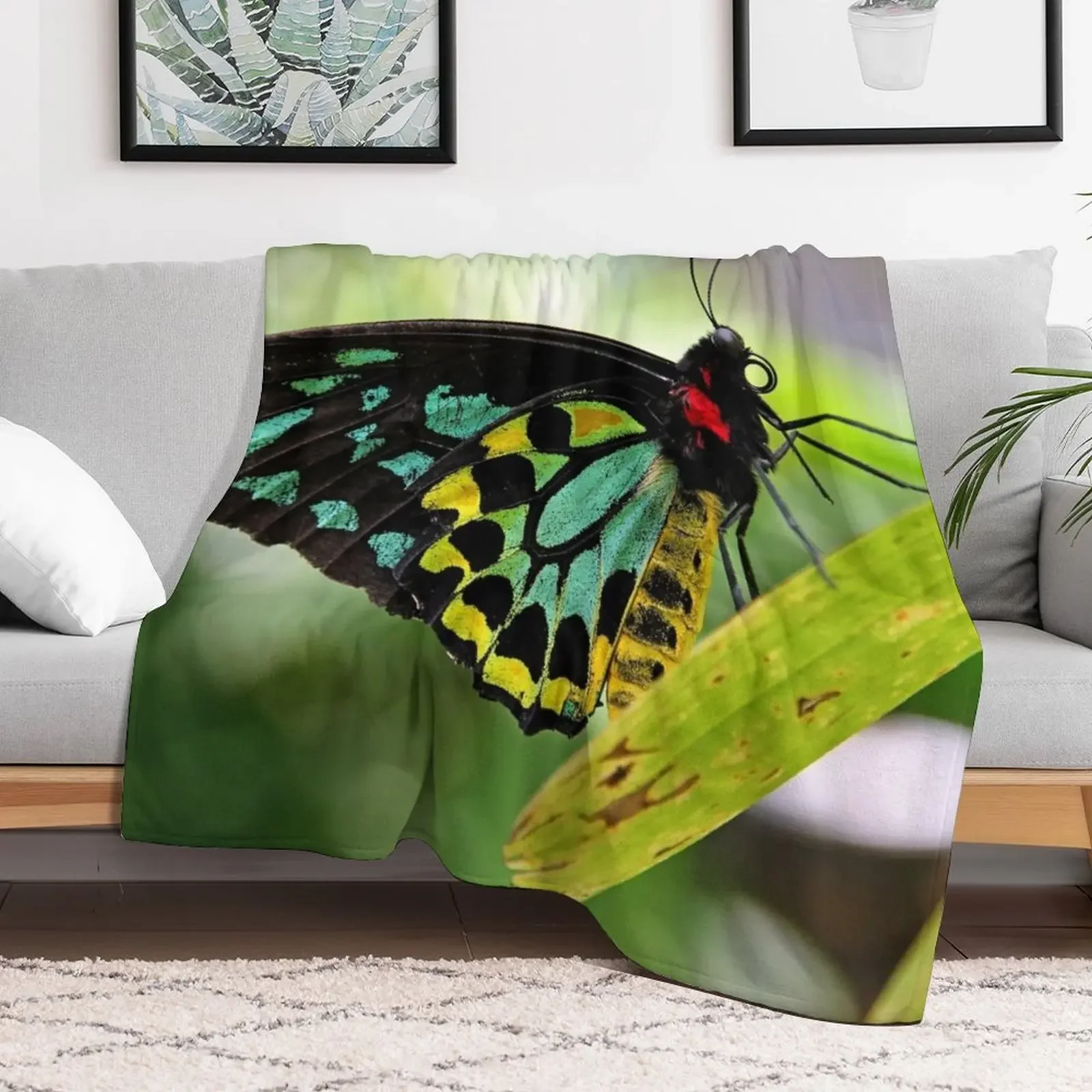 New Cairns Birdwing Butterfly Throw Blanket cosplay anime Tourist Polar Blankets